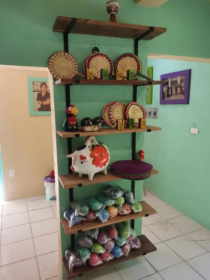 Numa Hotel Boutique Playa del Carmen